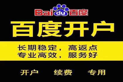 百度竞价运营策略：成功案例解析